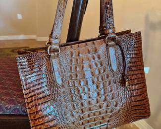 Brahmin Purse
