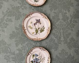 Spode Stafford Flowers plates - 2 Rosa & Salvia salad, 2 Lida & Acacia salad, 2 Iris & Sphaerolobium dinner plates 