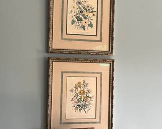 several sets of framed botanicals