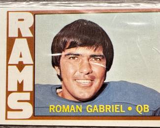 NFL Roman Gabriel