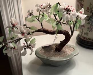 'Bonsai' tree