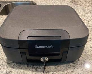 Sentry Safe