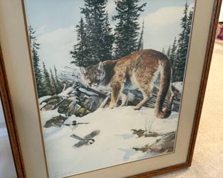 Framed & Matted Bobcat Print by Janene Grende
