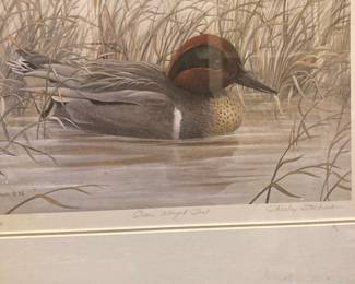Framed & Matted Print "Green Winged Teal" by Shirley Strekman