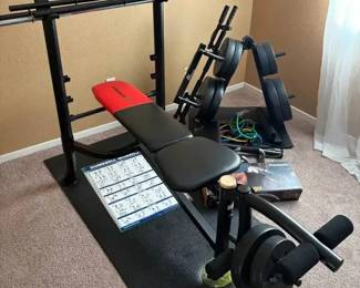 DW104Weider Pro Weight Bench