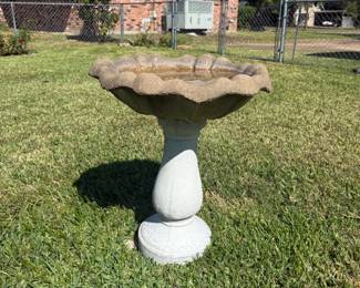 birdbath