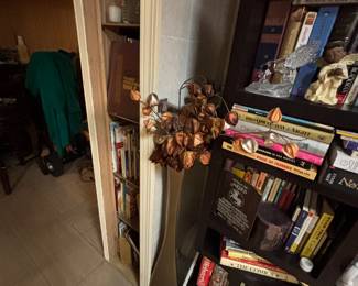 Misc books for $1ea. bookshelf is not included in sale.