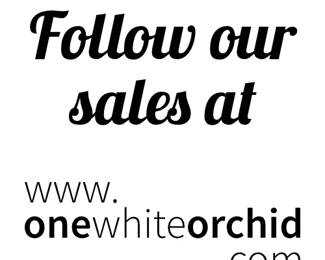 onewhiteorchid.com Follow