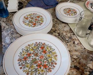 Corelle dishes