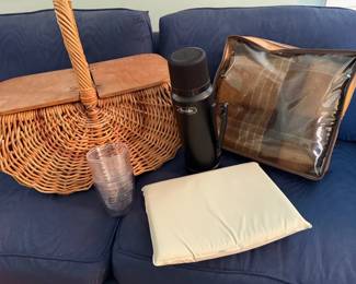 Picnic Essentials Mystery Lot 