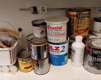 Paint Supply Mystery Lot