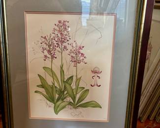 Botanical Framed Art