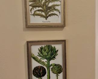 Botanical Framed Art