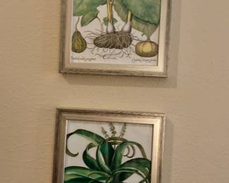 Botanical Framed Art