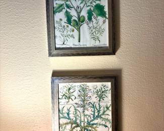 Botanical Framed Art