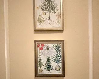 Botanical Framed Art