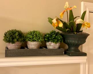 • Faux Plants in Small clay pots
• Silk Or hide in Planter