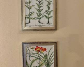 Botanical Framed Art