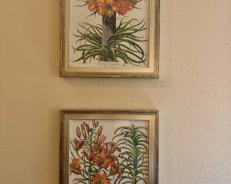 Botanical Framed Art
