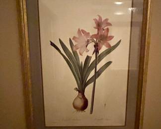 Botanical Framed Art with Glass