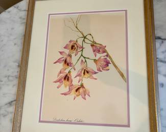 Botanical Framed Art