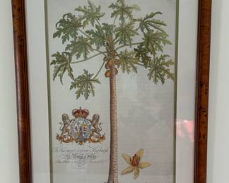 104. Set of 3 Framed Palm Tree Prints (18" x 25")