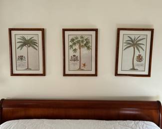 104. Set of 3 Framed Palm Tree Prints (18" x 25")