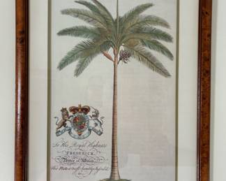 104. Set of 3 Framed Palm Tree Prints (18" x 25")