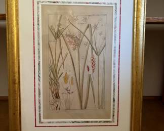 95. Pair of Botanical Prints in Gold Frame (17.5" x 24")