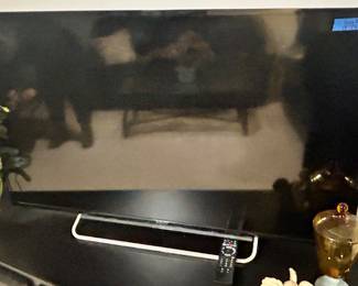 Sony 48 inch TV with remote