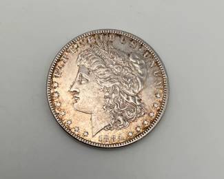 1884 Morgan Dollar