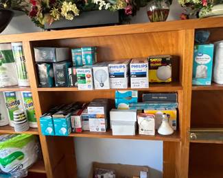 Light Bulbs and Decorative Floral Pieces