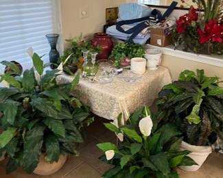 Artificial Plants and Pottery