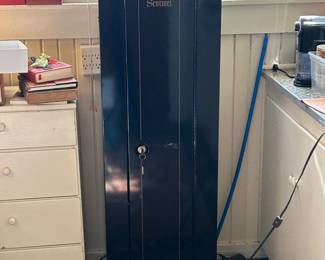 Sentinel 10-Gun Security Cabinet