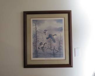 Duck print by Allen Hughes. Professionally framed.