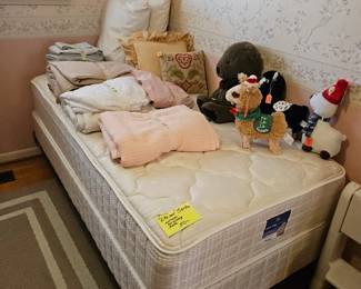 $50, like news Serta twin mattress, box spring, frame