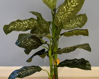 Faux Cane Plant
