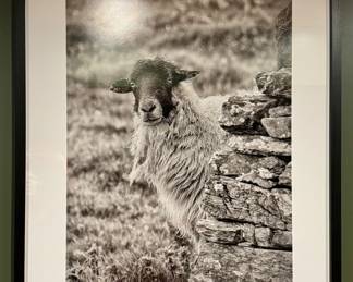 "Blaskey Island Sheep" Giles Norman Print