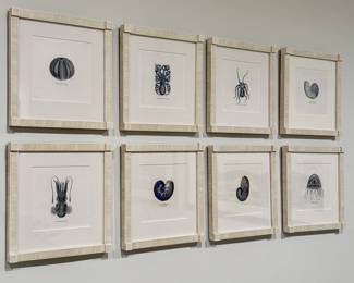 Framed Nautical Illustrations 