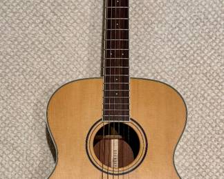 Parkwood Guitar