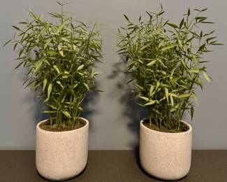 (2) Faux Bamboo Arrangements
