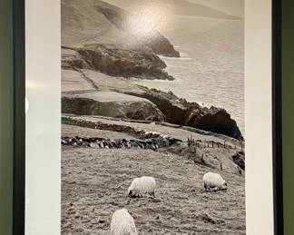 "Dingle Sheep" Original Print, Signed Giles Norman