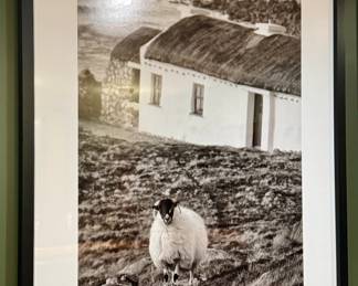 "Sheeps Cottage Donegal" Original Print, Signed Giles Norman