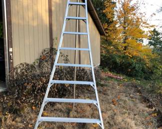 Stokes 12-Foot Orchard TriPod Ladder – Aluminum Frame