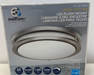 Energetic 1600246 LED Flush Mount Ceiling Light – 14" Frosted Glass