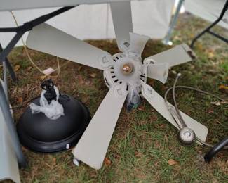 hanging light, ceiling fan