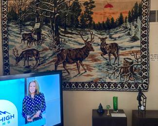 Wall hanging elk and deer in the Colorado mountains