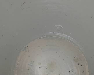 looking inside the vase