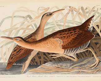 3121
John James Audubon
(1785-1851)
"Fresh Water Marsh Hen," Plate 203 from "The Birds of America, from Original Drawings by John James Audubon," by Robert Havell, circa 1830
Engraving with aquatint and hand-coloring on wove paper, watermark J Whatman 1836
From the original edition engraved and printed by Robert Havell, London, England, between 1827 and 1838
With the artist's, engraver's, printer's, and publisher's names, as well as the title and date, all engraved in the plate below the image, and the plate and series numbers engraved in the upper right and left corners of the plate, respectively
Plate: 12.75" H x 19.375" W; Sheet: 25" H x 37.25" W
Estimate: $1,500 - $2,500