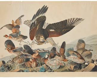 3120
John James Audubon
(1785-1851)
"Virginian Partridge," Plate 76 from "The Birds of America, from Original Drawings by John James Audubon," by Robert Havell, circa 1830
Engraving with etching, aquatint, and hand-coloring on wove paper, watermark J Whatman Turkey Mill 1829
From the original edition engraved and printed by Robert Havell, London, England, between 1827 and 1838
With the artist's, engraver's, printer's, and publisher's names, as well as the title and date, all engraved in the plate below the image, and the plate and series numbers engraved in the upper right and left corners of the plate, respectively
Sheet: 26.25" H x 37.875" W
Estimate: $15,000 - $20,000